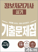 2025 시나공 정보처리기사 실기 기출문제집