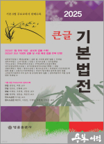2025 큰글 기본법전