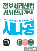 2025 시나공 정보처리산업기사 실기 기본서