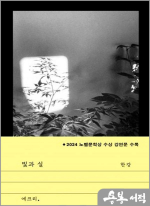 빛과 실(2024 노벨문학상 수상 강연문 수록.2024 노벨문학상 수상작가)