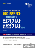 2025 최신판 답이보인다 30일 단기완성 전기기사.산업기사 실기(전2권)