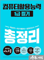 2025 시나공 총정리 컴퓨터활용능력 1급 필기