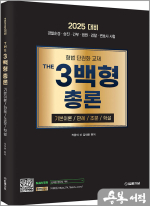 2025 형법 THE 3백형 총론(기본이론/판례/조문/학설)