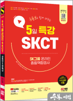 2024 최신판 SD에듀 유튜브로 쉽게 배우는 5일 특강 SKCT SK그룹 온라인 종합역량검사