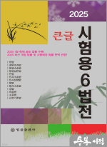 2025 큰글 시험용 6법전