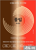 몰입 확장판
