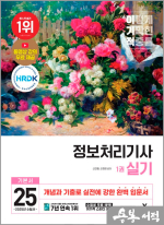 2025 이기적 정보처리기사 실기 기본서(전3권)