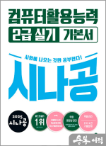 2025 시나공 컴퓨터활용능력 2급 실기 기본서(ver.2021)