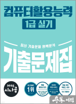 2025 시나공 컴퓨터활용능력 1급 실기 기출문제집