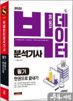 2025 시대에듀 빅데이터분석기사 필기 한권으로 끝내기