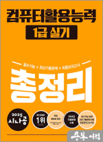 2025 시나공 컴퓨터활용능력 1급 실기 총정리(ver.2021)