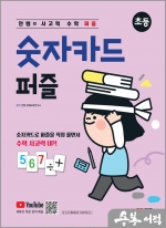 안쌤의 사고력 수학 퍼즐 숫자카드 퍼즐(초등)