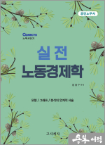 실전 노동경제학(공인노무사)