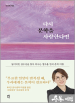 다시 문학을 사랑한다면 - 잃어버린 감수성을 찾아 떠나는 열아홉 번의 문학 여행